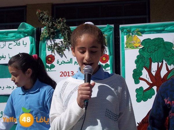 treesnewzahra2 (27).jpg